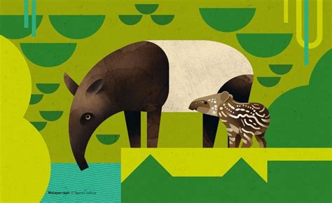 Check spelling or type a new query. Incredible illustration in new book Wild Animals of the South | Animal illustration, Animals ...