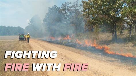Fighting Fire With Fire Prescribed Burns Are Best Way To Fight