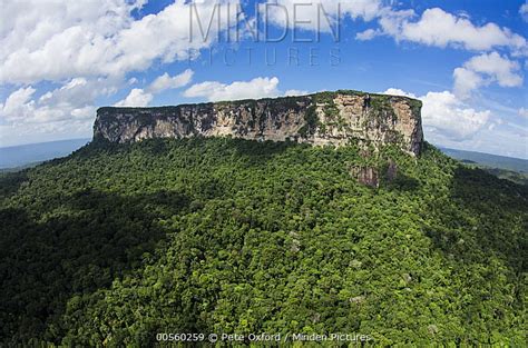 Minden Pictures Ayangaik Mountain Pacaraima Mountains Guyana