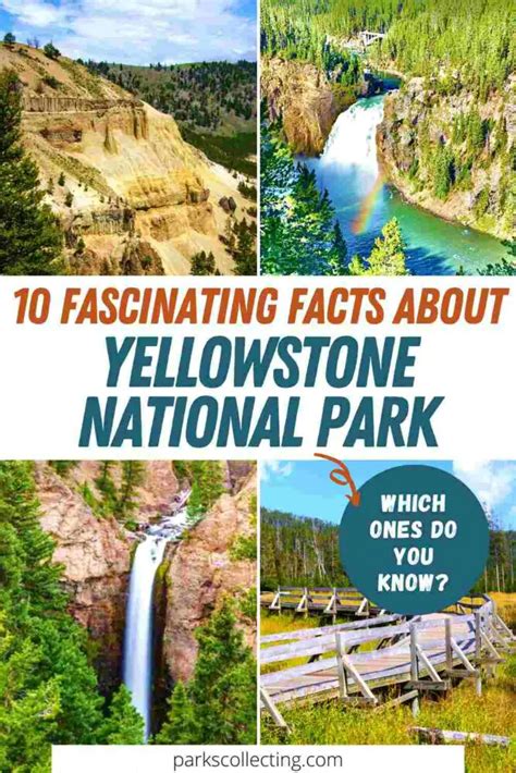 10 fun facts about yellowstone national park wyoming