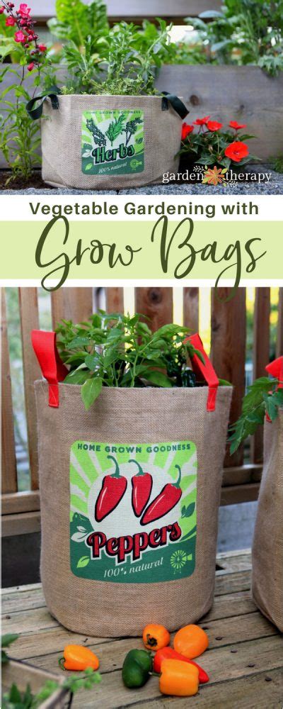 Portable Gardening Growing Tomatoes Peppers And Herbs In Burlap Grow