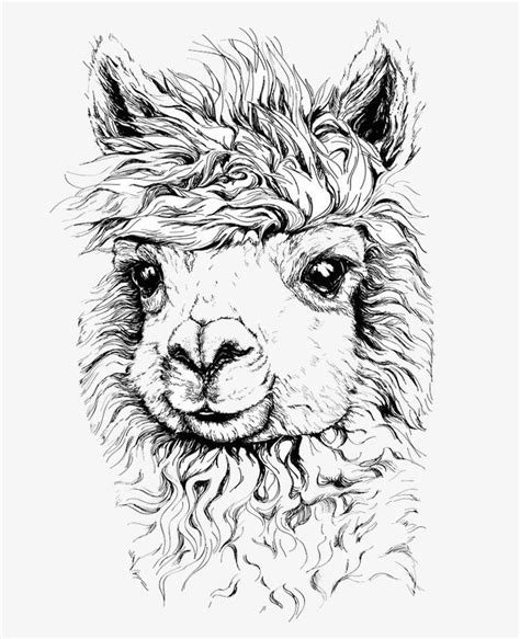 They are a type of lootbox in fortnite: Alpaca Illustration, Cartoon Alpaca, Animal Tattoo, Tattoo ...