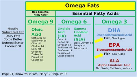 Fruit Of The Belly The Importance Of Essential Fatty Acids Omega 3