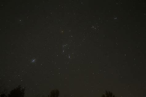 Orion And Sirius Photograph By Amy Warr