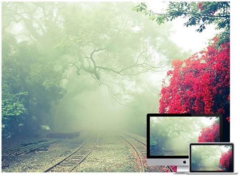50 Beautiful Nature Wallpapers For Your Desktop