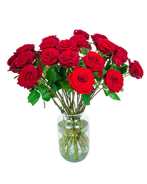 30 Long Stemmed Red Roses Fresh Red Roses Red Roses Delivery 30 Red