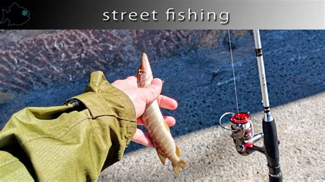 Все 87 плейлистов 93 трека. Лето пришло! Рыба клюет! Микроджиг на Набережной - YouTube