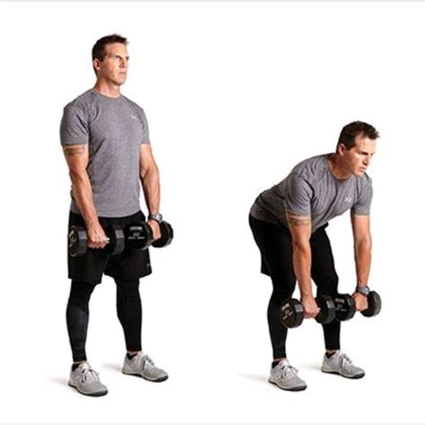 Dumbbell Deadliftrow Complex Exercise How To Skimble