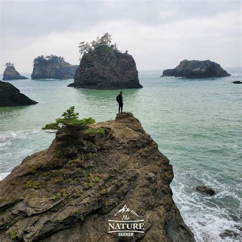 5 Things About Secret Beach Oregon That You Need To Know