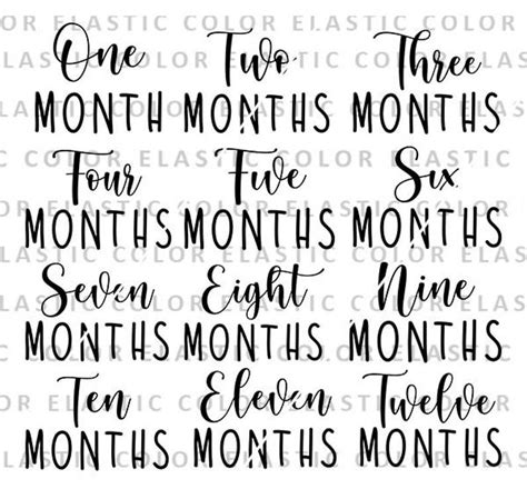 Baby Milestones Svg Onesie Design Baby Monthly Milestones Etsy Baby
