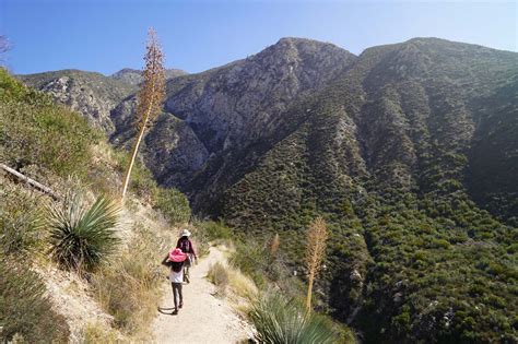 Trail Canyon Falls Waterfall In The Western San Gabriels