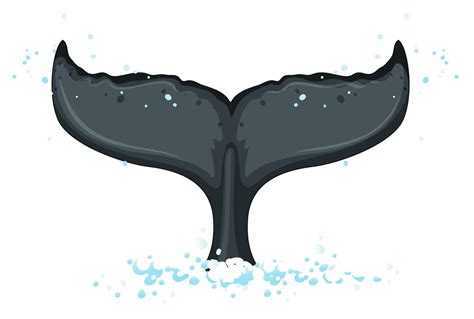 A Tail Of Humpback Whale 373669 Vector Art At Vecteezy