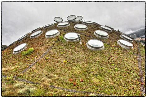 They conjured a magic that would make photographs lively. The Living Roof | Marty Cohen Photography