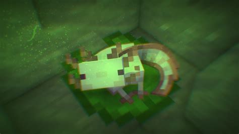Minecraft Axolotl Wallpapers Wallpaper Cave