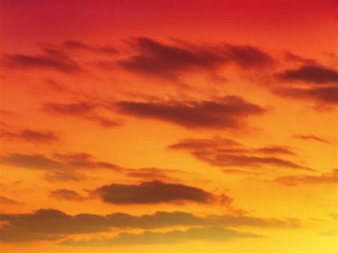Orange Red Sky At Sunset Anime Background Аниме Аниме арт
