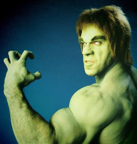 The Incredible Hulk 1978 1982 Lou Ferrigno The Incredible Hulk