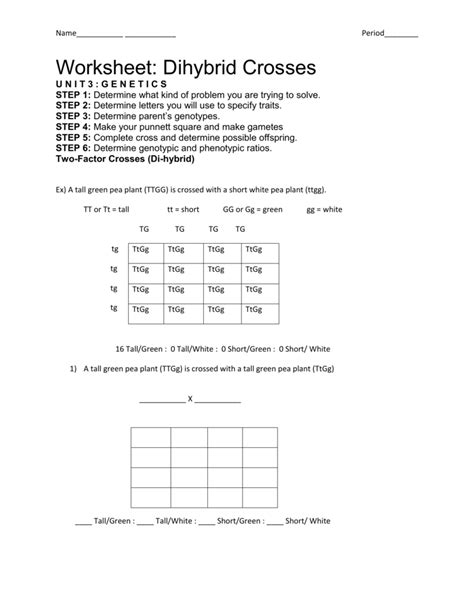 Example solves a two trait (two factor) test cross which can then. Punnett Square Dihybrid Cross Worksheet Answer Key ...