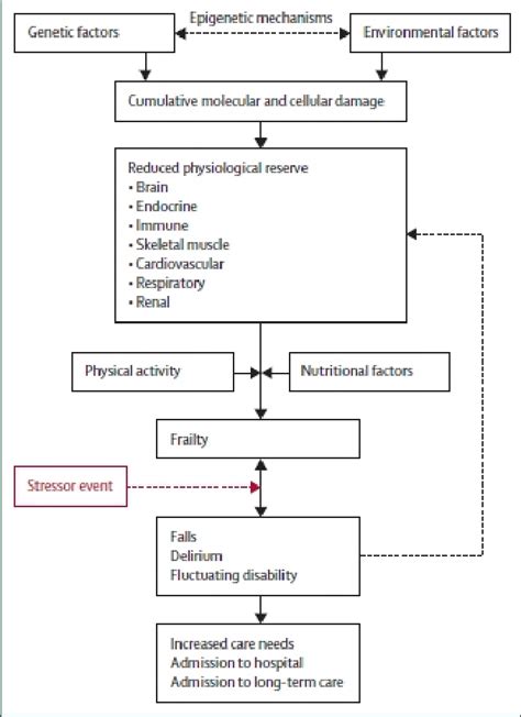 Schematic Representation Of The Pathophysiology Of Frailty Download