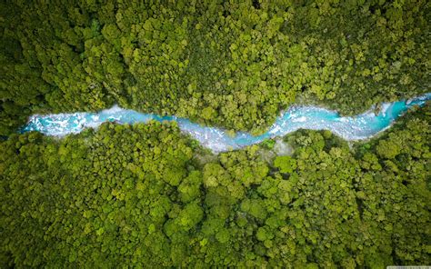 Forest Aerial View 4k Wallpapers Wallpaper Cave