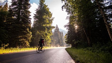 Download Wallpaper 3840x2160 Bicycle Tourist Cyclist Road Trees 4k