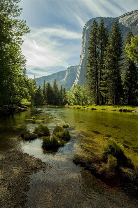 The Merced River In Yosemite Merced River Scenery Beautiful Places