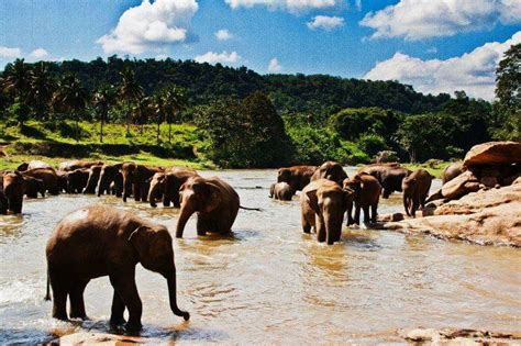 10 Most Beautiful Places In Sri Lanka Traveltriangle