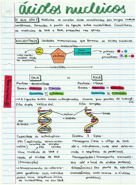 Pin De Deysianne Em Resumos Ensino De Biologia Lettering Tutorial