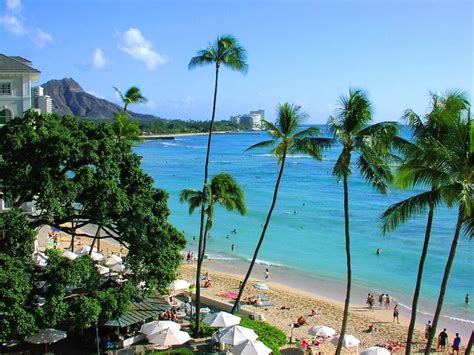 If you are not able to find a rental car for your desired travel dates, please either search for new travel dates or select a transfer service instead. Google+ | Hawaii vacation, Hawaii vacation packages ...
