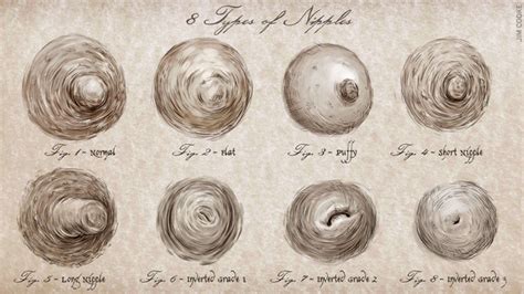 8 Types Of Nipples Imgur