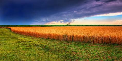Kansas Summer Wheat And Storm Panorama Landscape Midwest Vacations