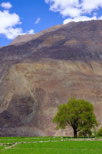 View Of Turtuk Village Ladakh India Stock Photos Pictures And Royalty