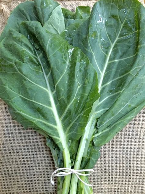 How To Grow Collard Greens From The Stem