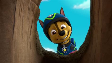 Chase Paw Patrol Wallpapers Wallpaper Cave