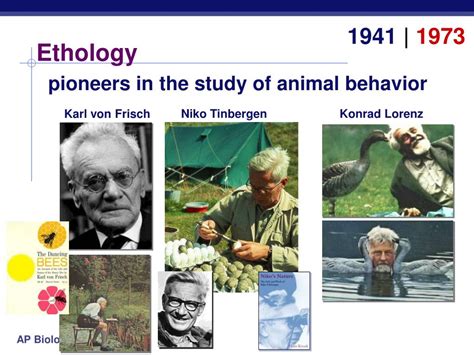 Ppt Animal Behavior Powerpoint Presentation Free Download Id927698