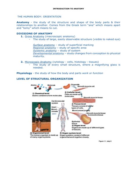 Introduction To Anatomy