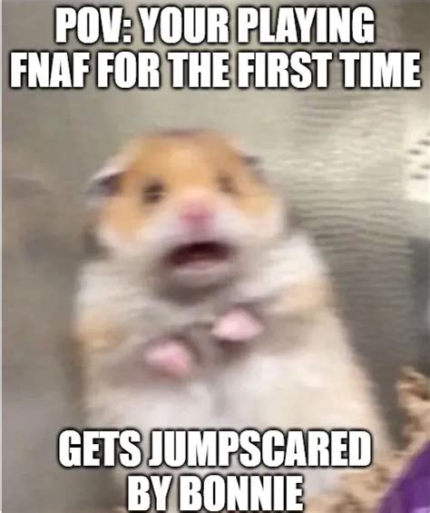 Scared Hamster Meme Generator Piñata Farms The Best Meme Generator