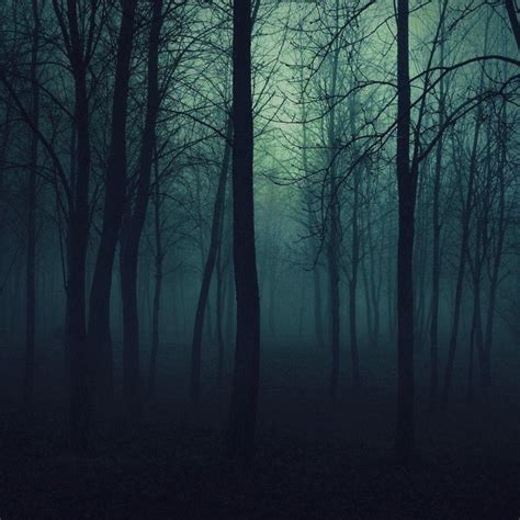 10 Top Dark Forest Hd Wallpaper Full Hd 1920×1080 For Pc