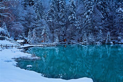Fondos De Pantalla Suiza Invierno Lago Kander Valley Picea Nieve