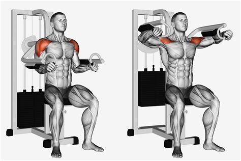 Machine Lateral Raise Guide How To Muscles Worked And Variations