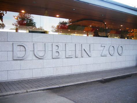 Dublin Zoo Precision Heating Northern Ireland