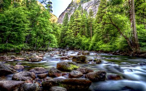 Beautiful Mountainous River Riverbed With Rocks Pine
