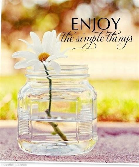 Enjoy The Simple Things Quote Life Happiness Lifequote