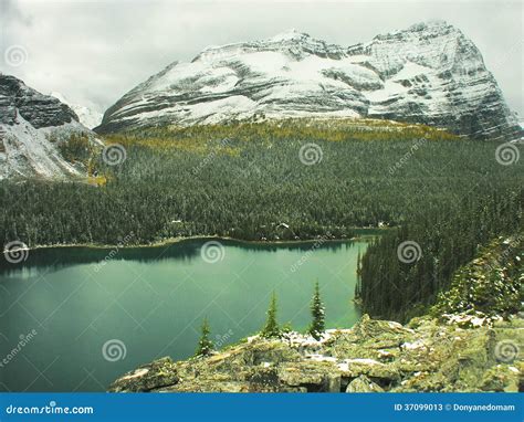 Lake O Hara Yoho National Park Canada Stock Image Image Of British