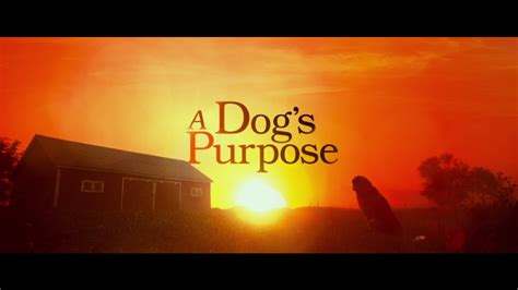 A Dogs Purpose Trailer Nl Youtube