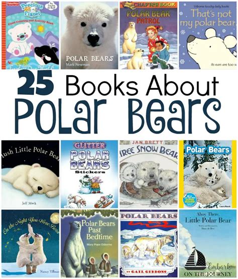 25 Books About Polar Bears Board Books Picture Books Chapter Books