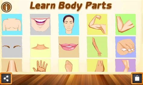 Learn Body Parts For Kids For Android Apk Download