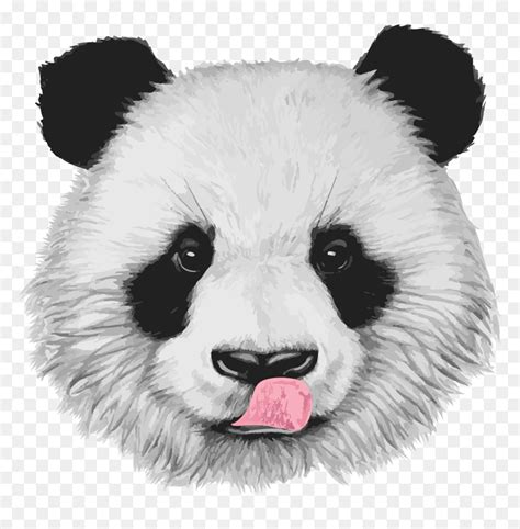 Realistic Drawings Panda Realistic Panda Sketch Baby Panda Panda