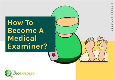 How To Become A Medical Examiner Educational Qualifications Salary
