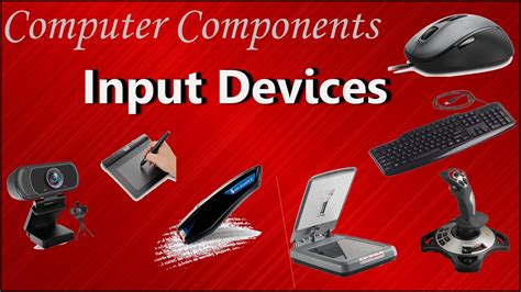 Input Devices of Computer | (Examples and purpose) - YouTube