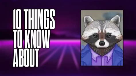 10 Things To Know About The Raccoon Who Lost Their Shape Hiijo